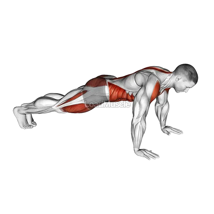 Front Plank to Toe Tap demonstration