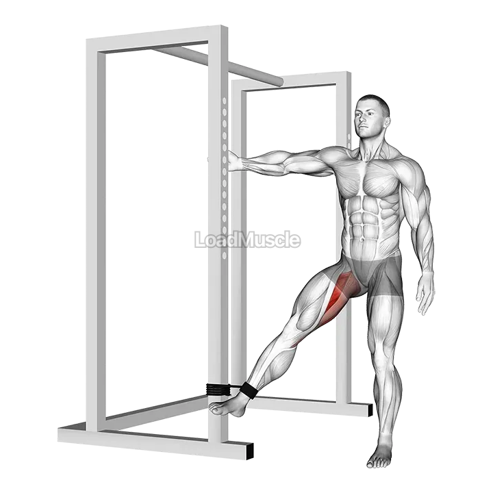 Band hip adduction demonstration