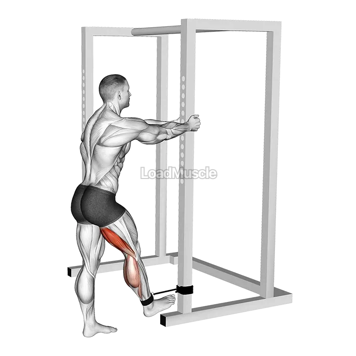 Band standing leg curl demonstration