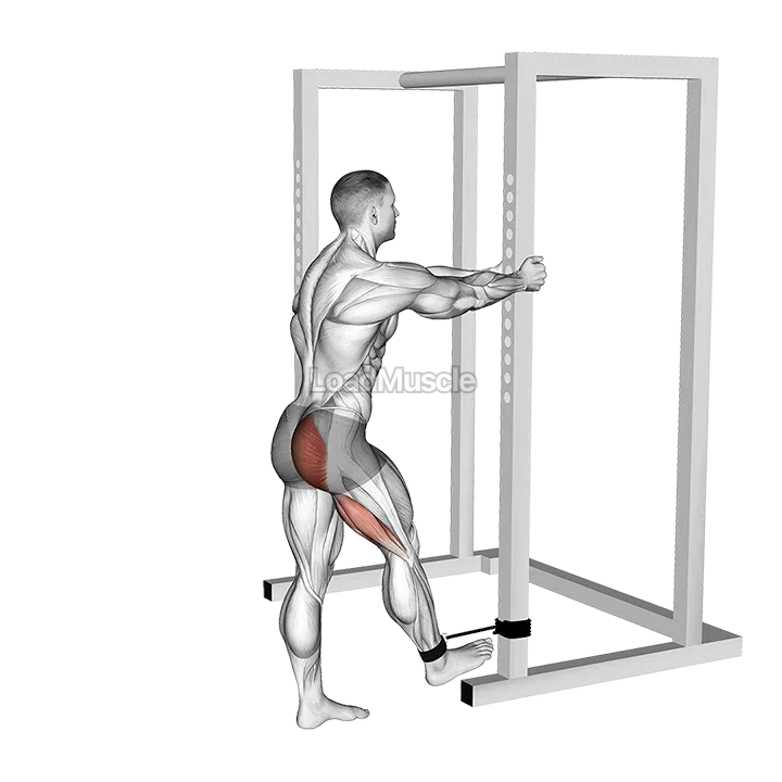 Band Standing Hip Extension demonstration
