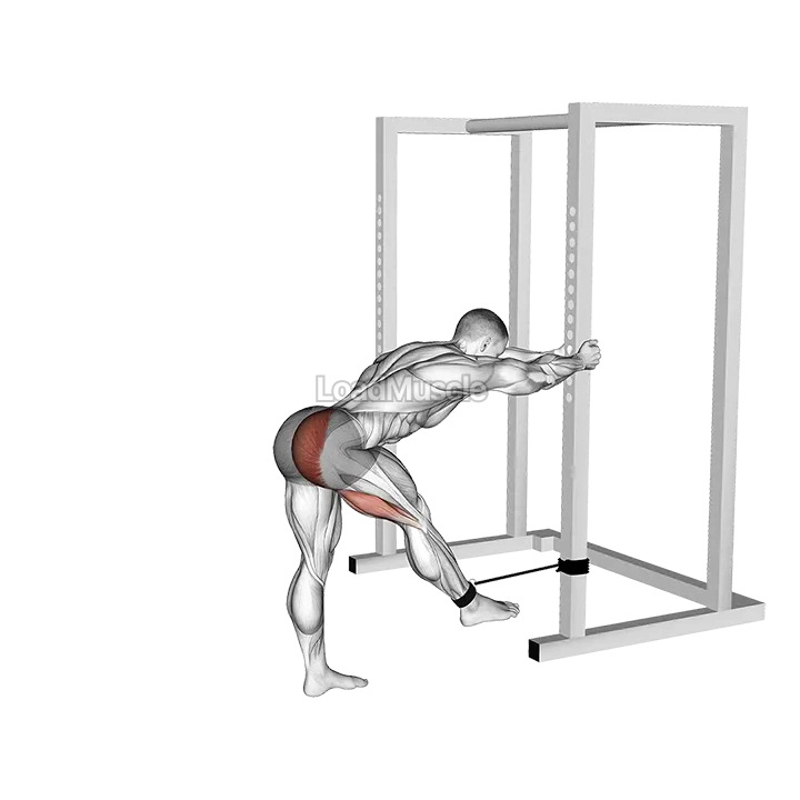 Band Bent over Hip Extension demonstration