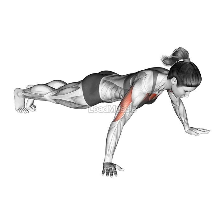 Wide Hand Push-up demonstration