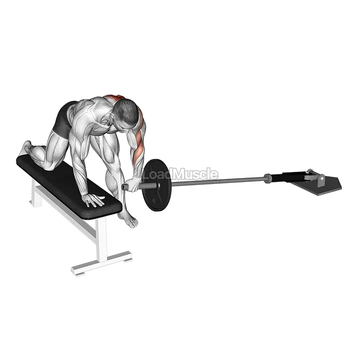 Landmine One Arm Bent Over Bench Row demonstration