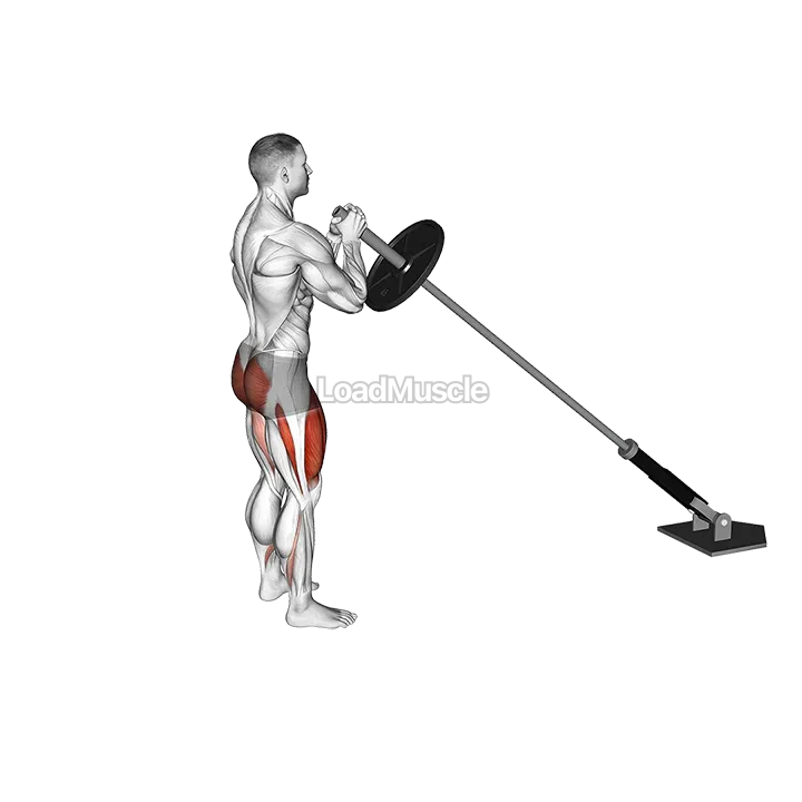 Landmine Rear Lunge demonstration