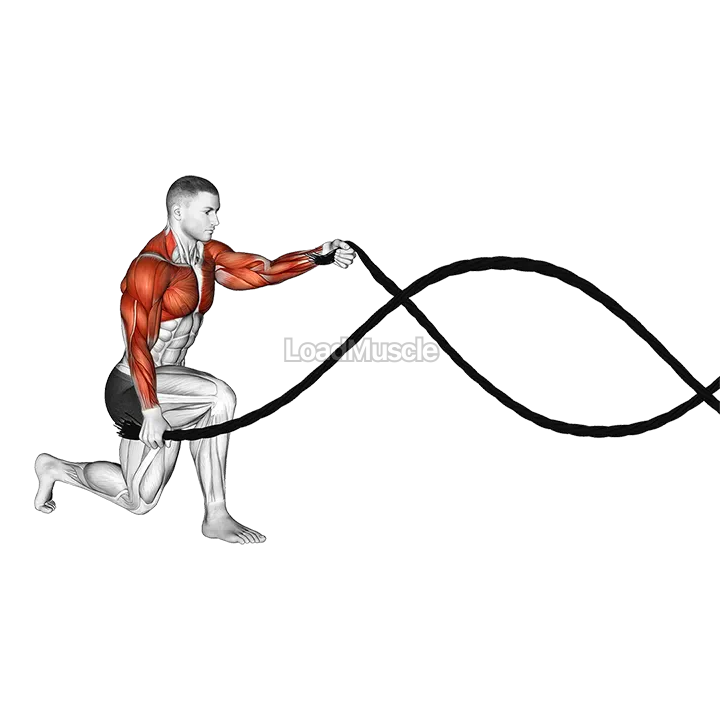 Battling Ropes Half Kneeling demonstration