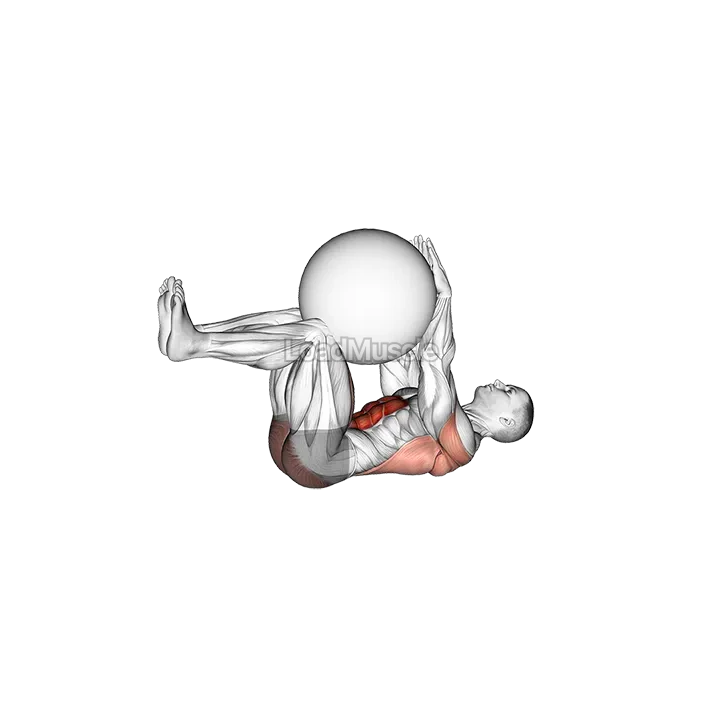 Dead Bug with Stability Ball demonstration