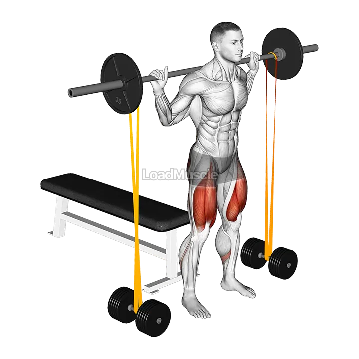 Barbell Banded Bench Squat demonstration