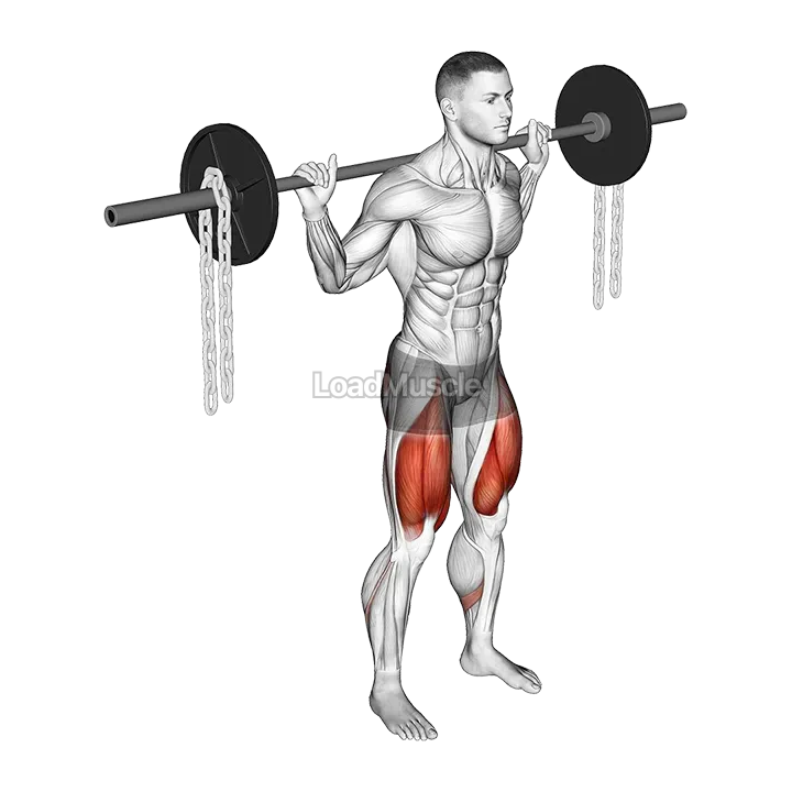 Barbell Squat with Chains demonstration