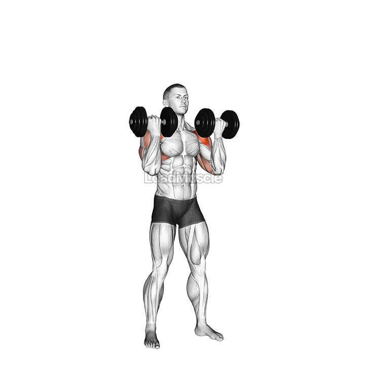 Dumbbell Standing Alternate Arnold Press demonstration
