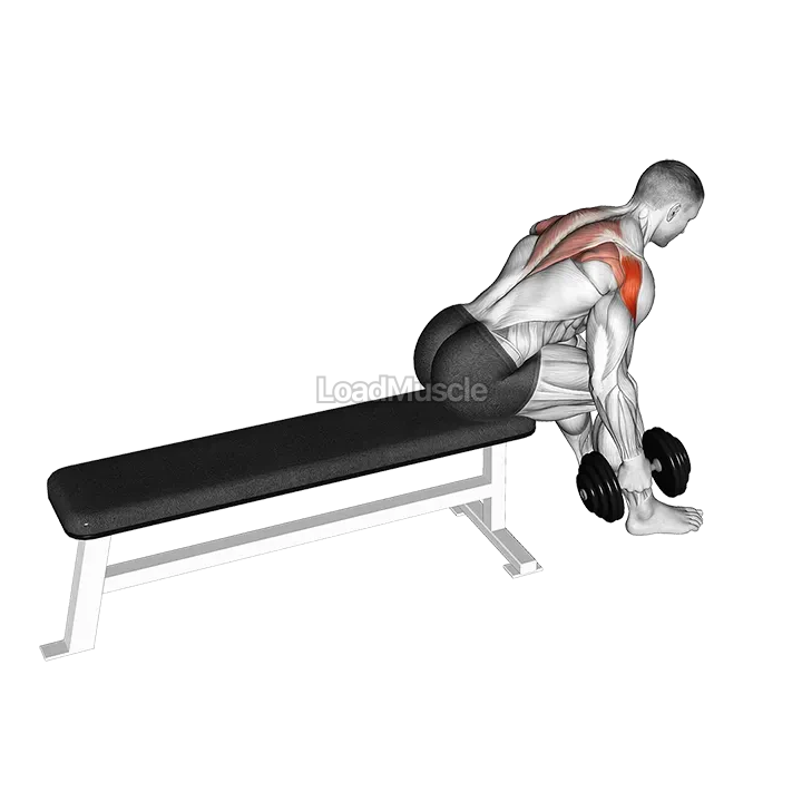 Dumbbell Seated Bent Over Alternate Rear Delt Fly demonstration