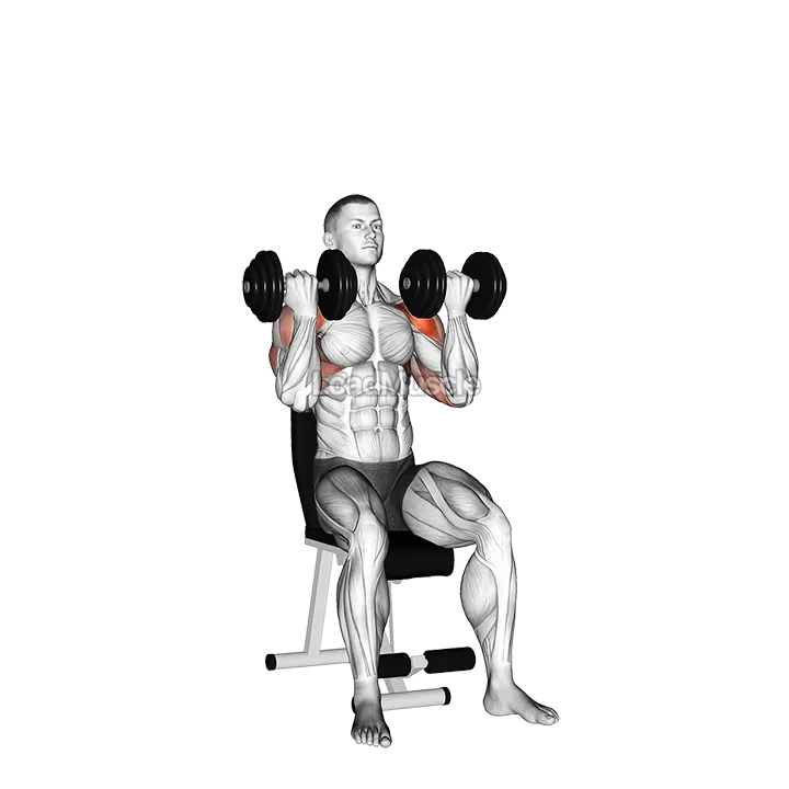 Dumbbell Alternate Arnold Press demonstration