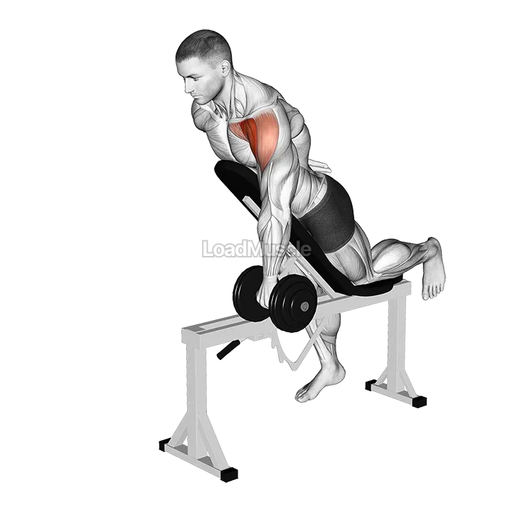 Dumbbell Incline One Arm Front Raise with Chest Support demonstration