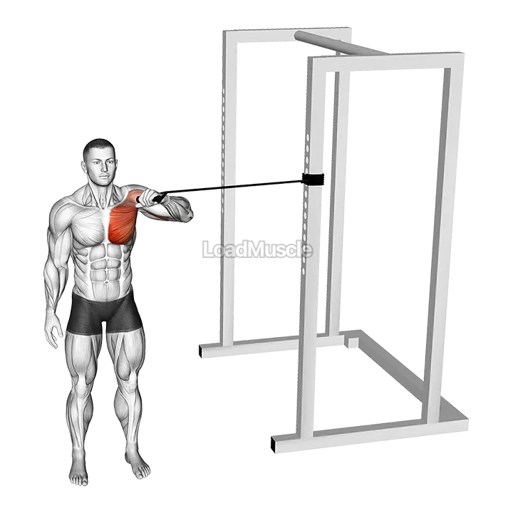 Band Cross Body One Arm Chest Press demonstration