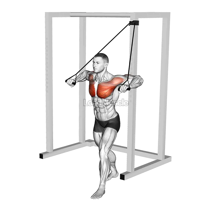 Band Low Alternate Chest Press demonstration