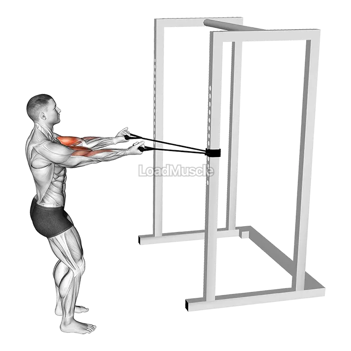 Band Horizontal Biceps Curl demonstration