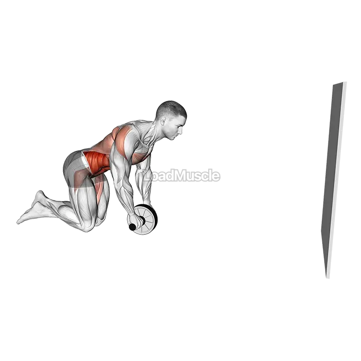 Wheel Rollout with Wall Support demonstration