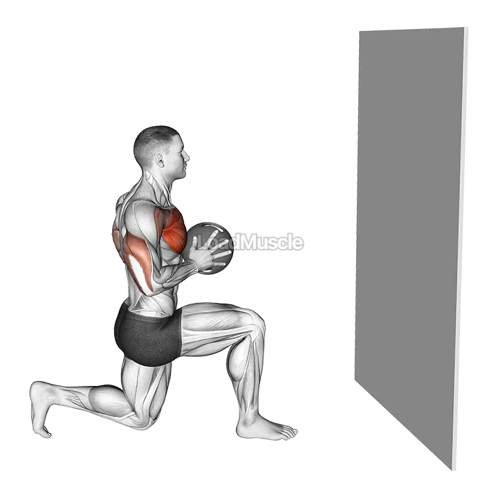 Medicine Ball Half Kneeling Chest Push demonstration