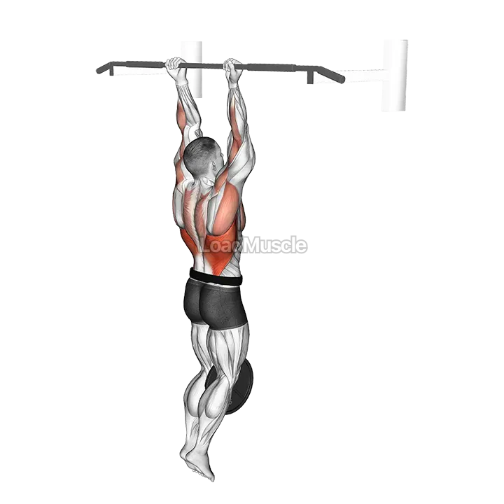 Weighted Chin-Up demonstration