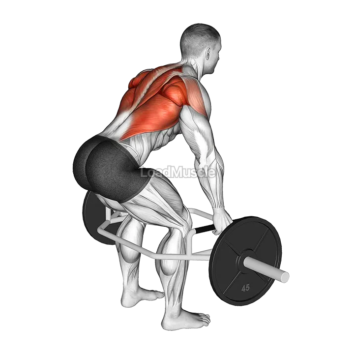 Trap Bar Bent Over Row demonstration