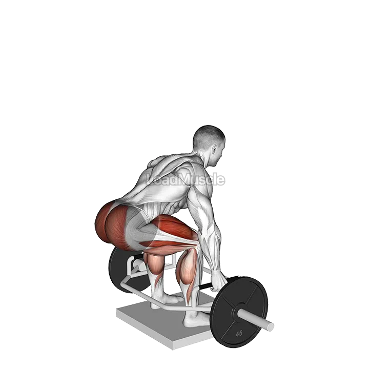 Trap Bar Deadlift from Deficit demonstration