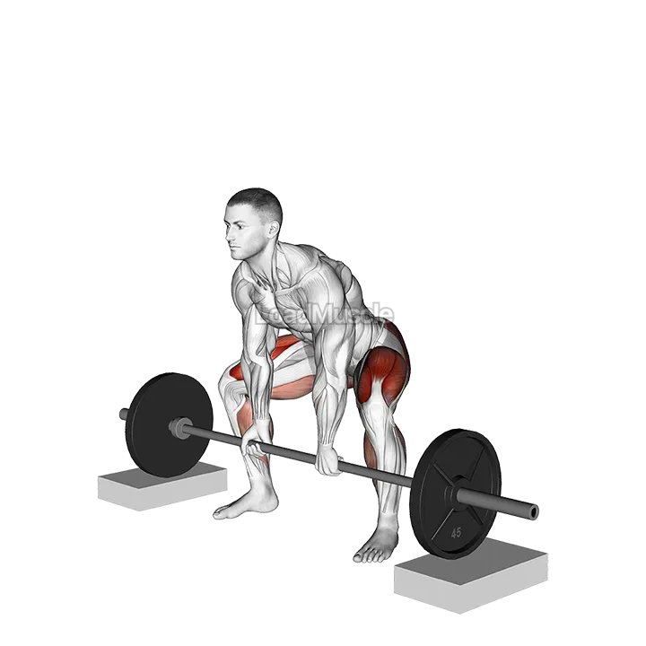 Barbell Sumo Deadlift from Blocks demonstration