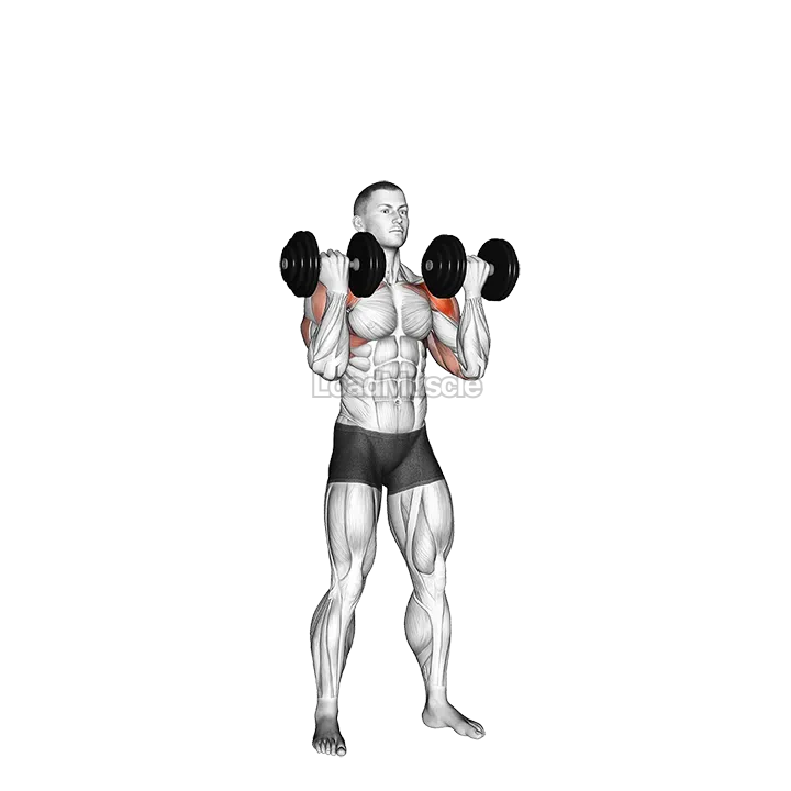 Dumbbell Standing Arnold Press demonstration