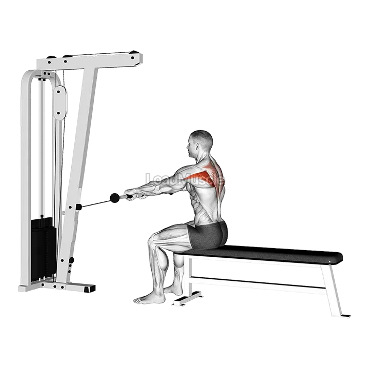 Cable Seated Horizontal Shrug demonstration