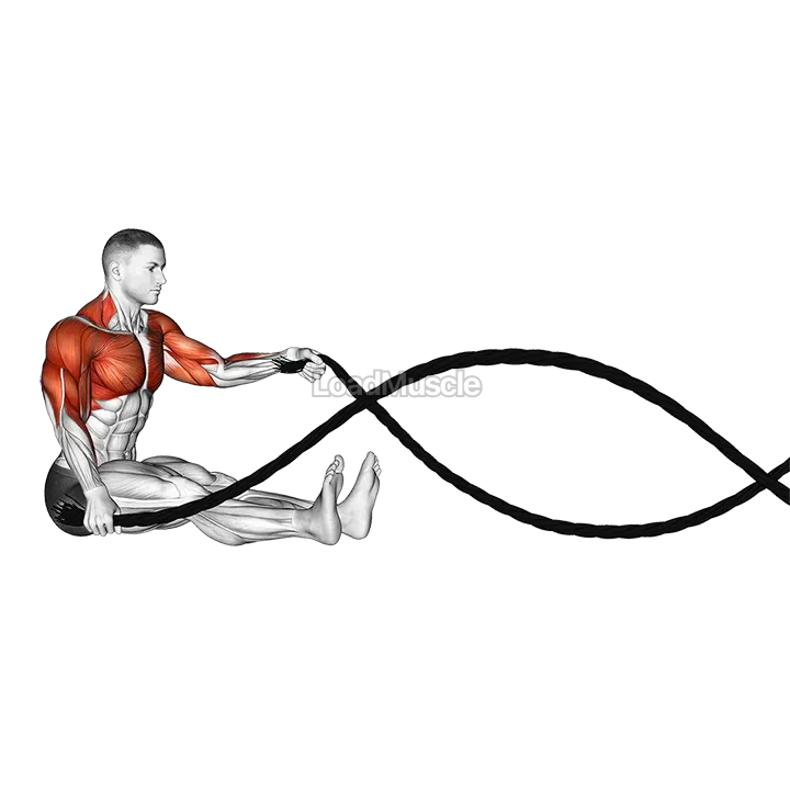 Battling Ropes Seated demonstration