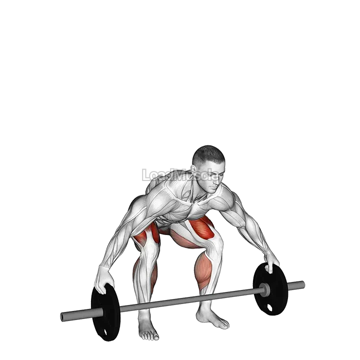 Barbell Reeves Deadlift demonstration