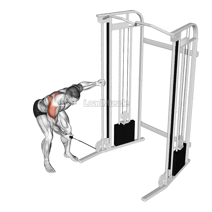 Cable One Arm Reverse Fly demonstration