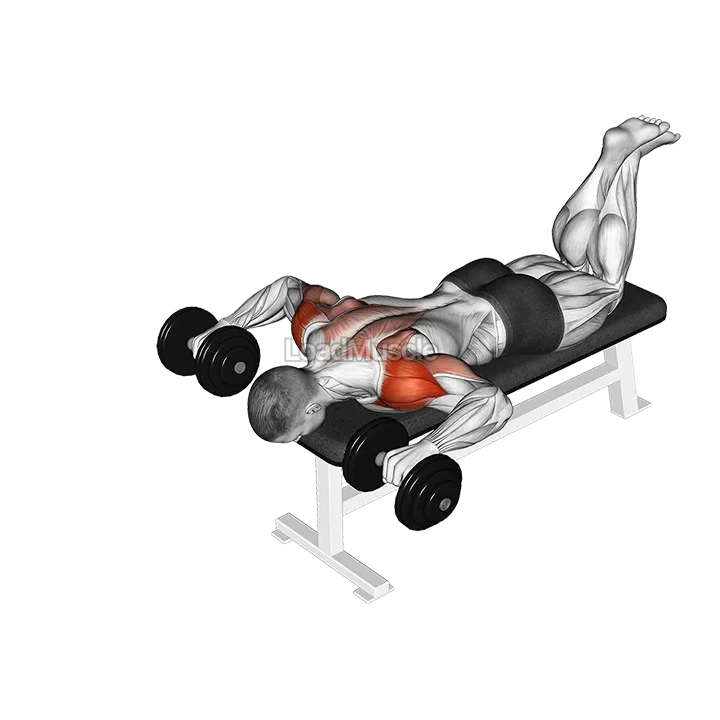 Dumbbell Face Down Lying Shoulder Press demonstration