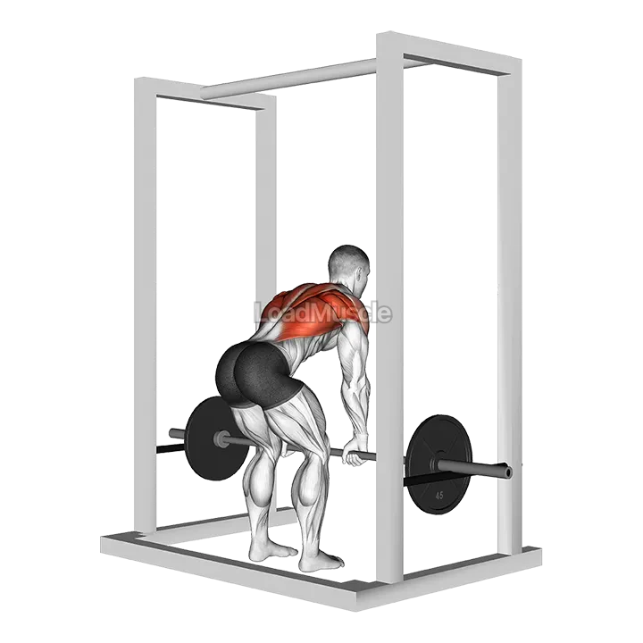 Barbell Deadstop Row with Rack demonstration