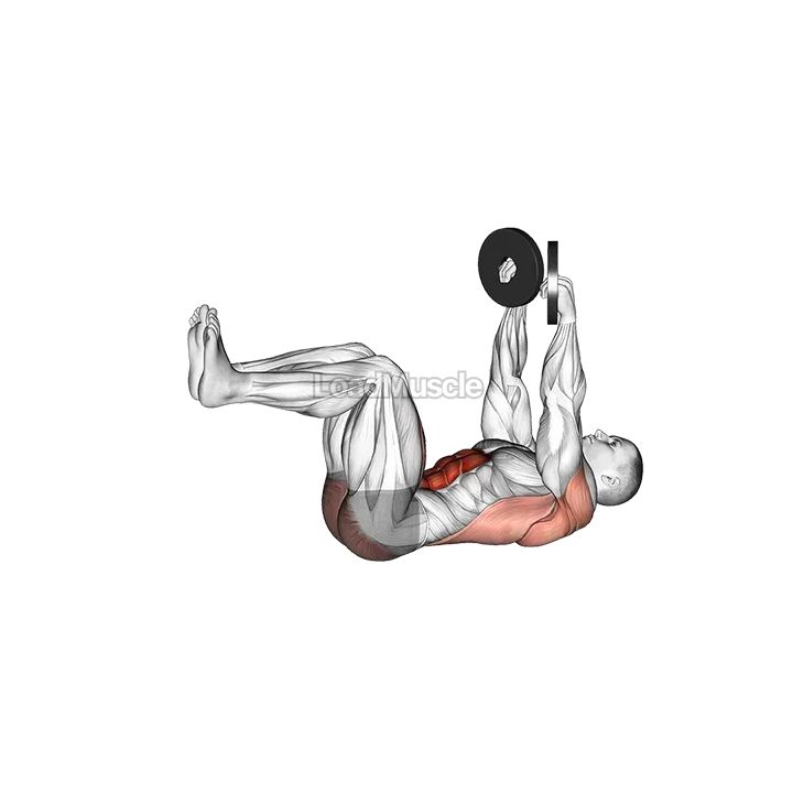 Weighted Dead Bug demonstration