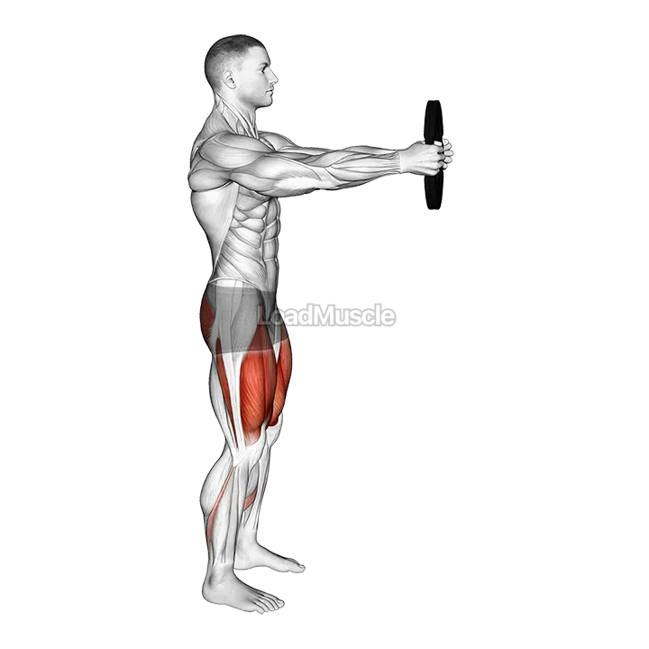 Weighted Counterbalanced Squat demonstration