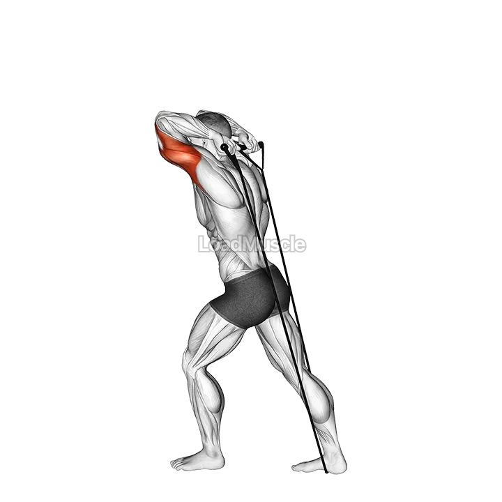 Band Overhead Triceps Extension demonstration