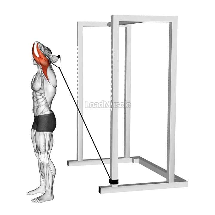 Band Overhead Single Arm Triceps Extension demonstration