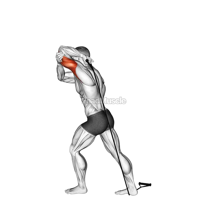 Band Overhead Single Arm Triceps Extension demonstration
