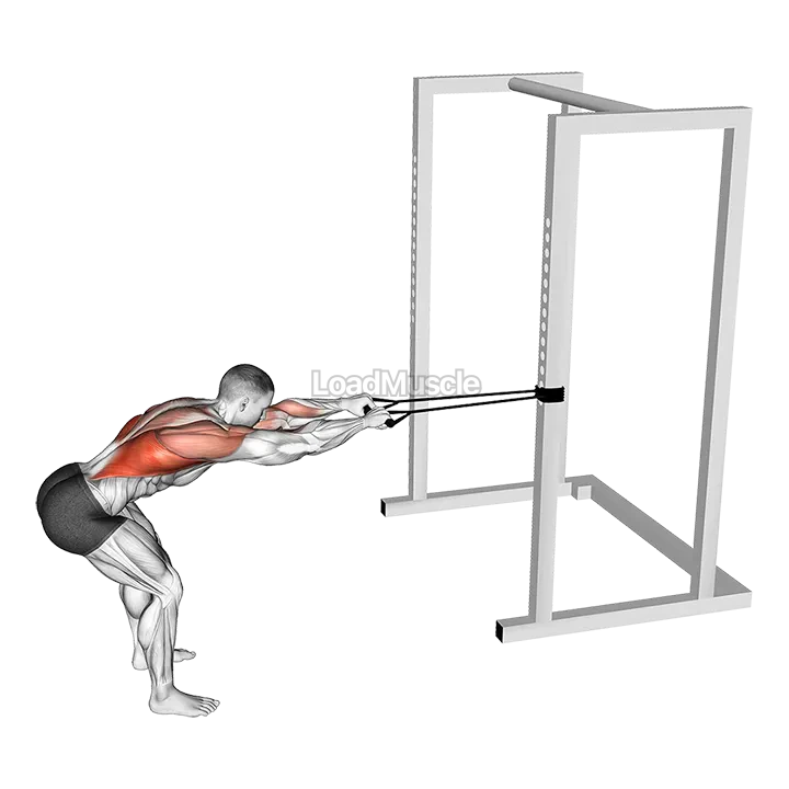 Band Bent Over Lat Pulldown demonstration