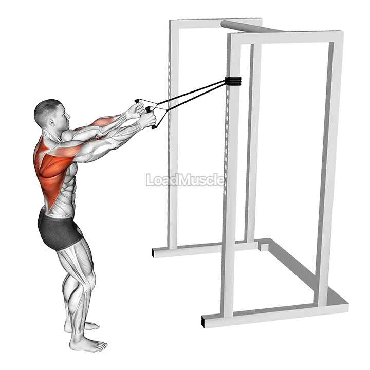 Band Narrow Grip High Row demonstration