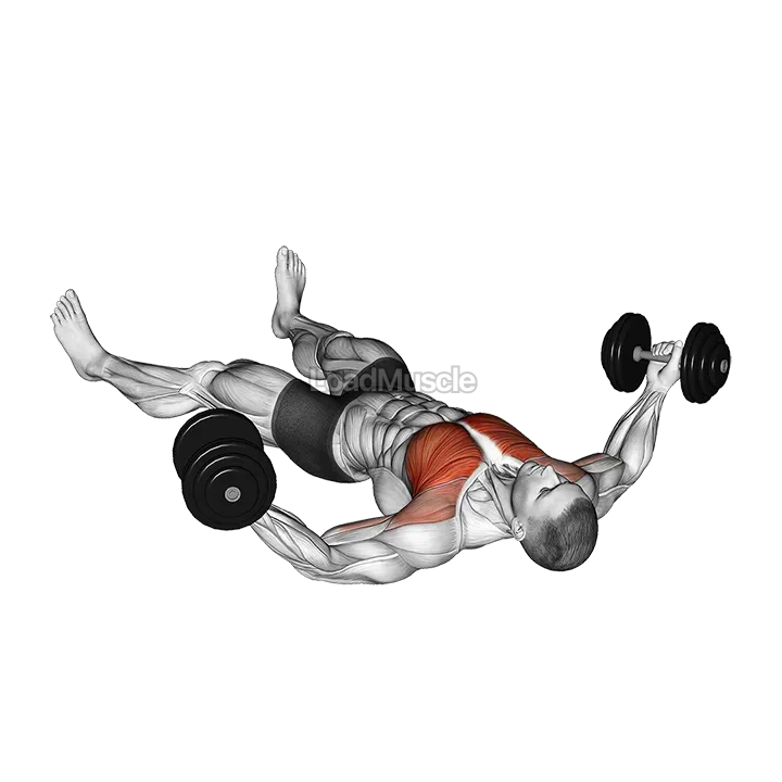 Dumbbell Floor Fly demonstration