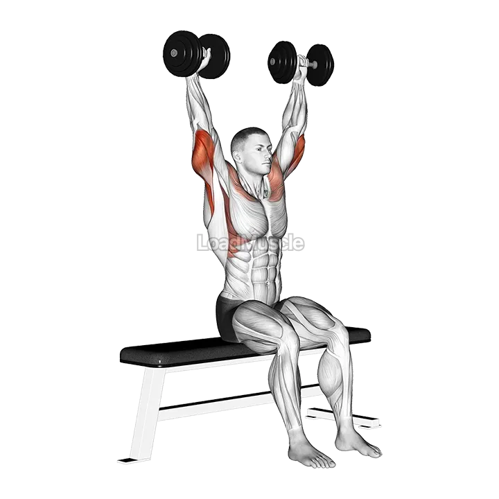 Dumbbell Seated Front and Back Tate Press demonstration