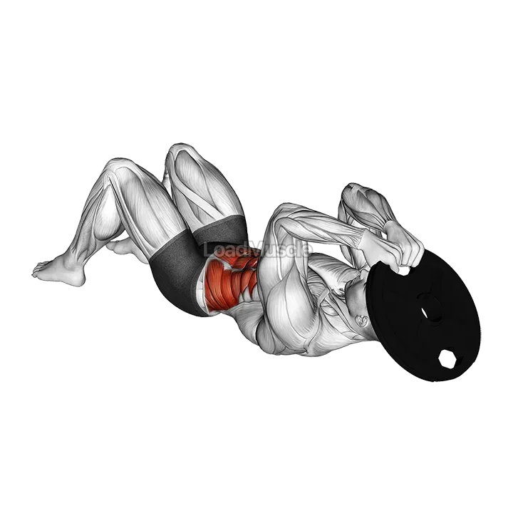 Weighted Side Crunch demonstration