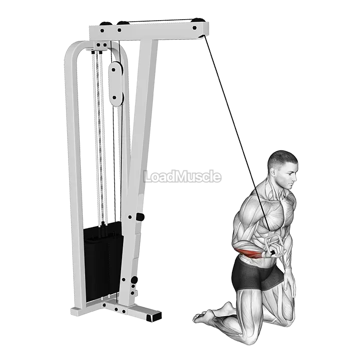 Cable One Arm Wrist Curl demonstration