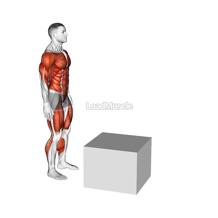 Jump Pistol Squat Box demonstration