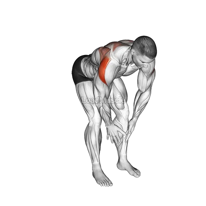 Bodyweight Bent Over Rear Delt Fly demonstration