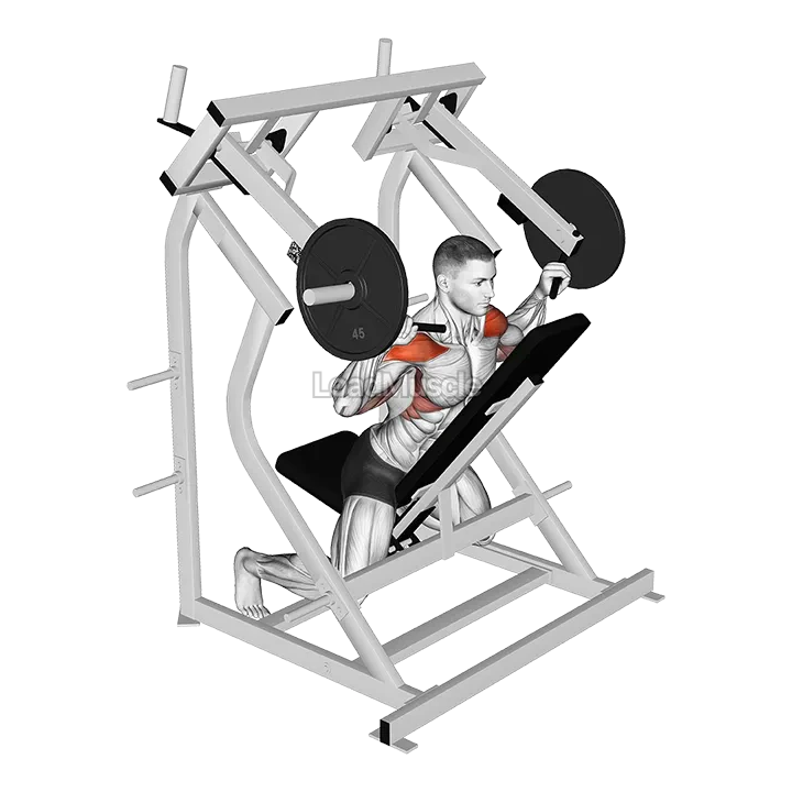 Lever Reverse Shoulder Press (plate loaded) demonstration