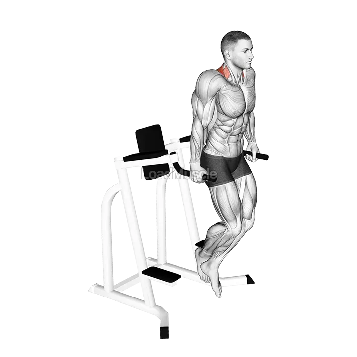 Shrug (on parallel bars) demonstration