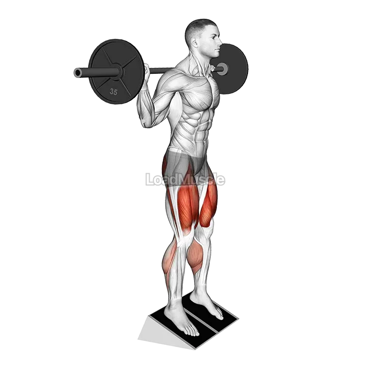 Barbell Elevated Heel Squat demonstration