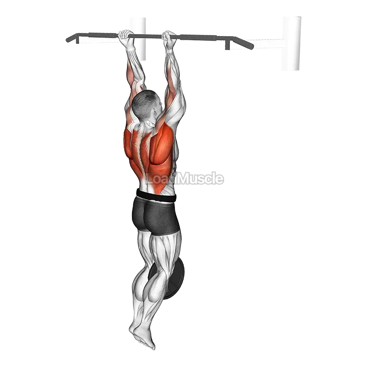 Weighted Hang Chin-Up demonstration