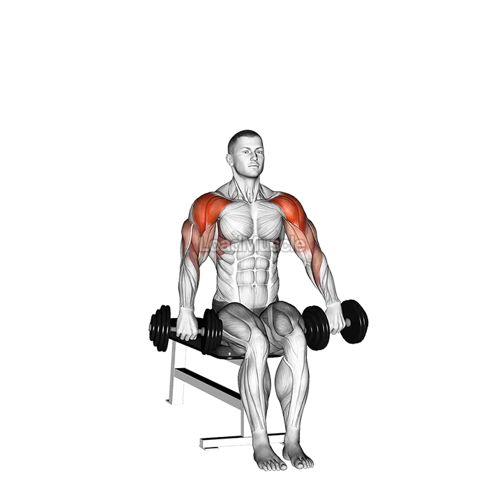 Dumbbell Seated Cuban Press demonstration